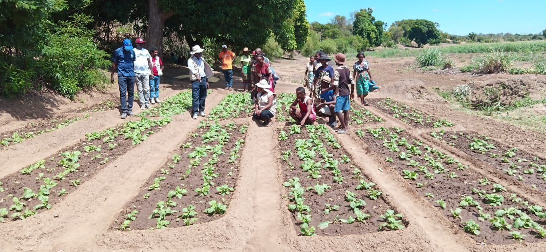 FAOMadagascar's tweet photo. #SouthernMadagascar
Visite conjointe des Représentants de @FAOMadagascar et @PamMadagascar auprès des bénéficiaires du #PROACTING qui s'en sont sortis face à l' #insécurité_alimentaire causée par la sècheresse exceptionnellement prolongée au Sud de #Madagascar
#resilience #SDG https://t.co/V1Wnk5f6Eo
