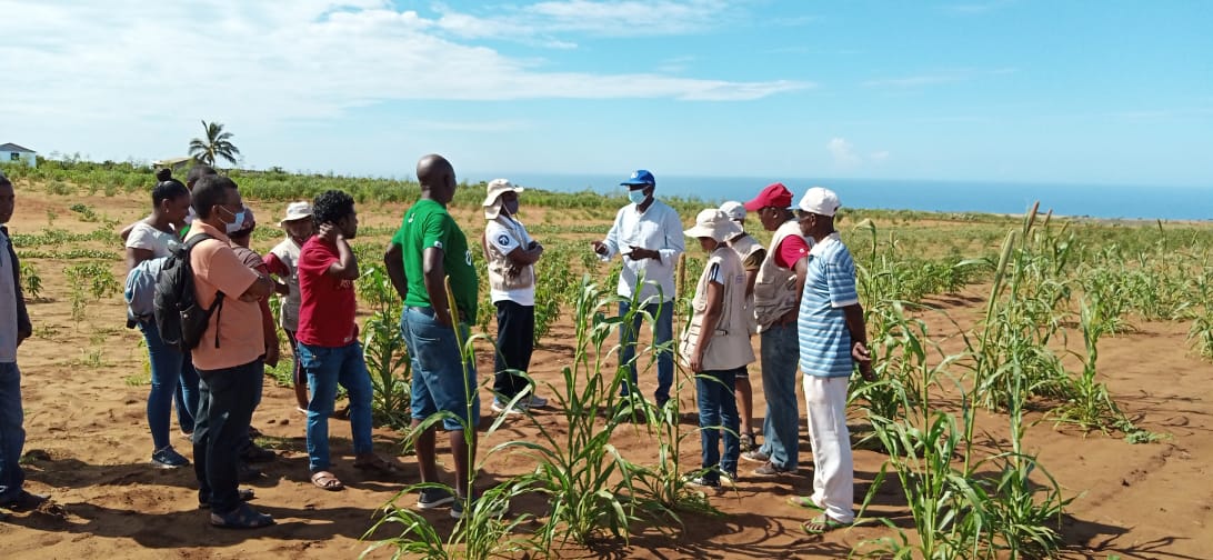 FAOMadagascar's tweet photo. #SouthernMadagascar
Visite conjointe des Représentants de @FAOMadagascar et @PamMadagascar auprès des bénéficiaires du #PROACTING qui s'en sont sortis face à l' #insécurité_alimentaire causée par la sècheresse exceptionnellement prolongée au Sud de #Madagascar
#resilience #SDG https://t.co/V1Wnk5f6Eo