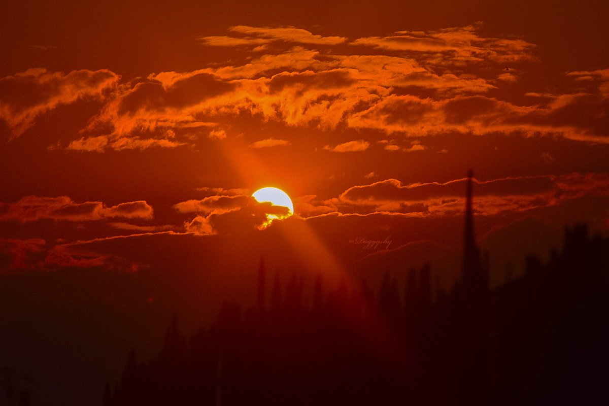 DaggyshyKE's tweet photo. From dusk to dawn. #Dusk #sunsetphotography #sunset #Savannah #Emining https://t.co/5bW4lLvrg4