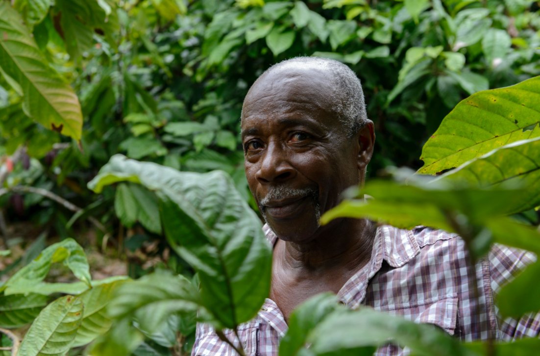 In the 1990s and early 2000s, people from other parts of Colombia starting coming to Tumaco to plant coca farms. It was easy to transport illicit substances via the river systems and out to sea in Tumaco.