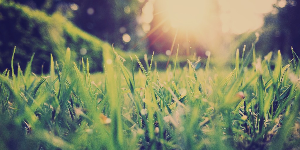 AudibleReality_'s tweet photo. March means it’s almost springtime! Use the LOOK UP to get in the mood for the new season.

#LOOKUP #Spring
Learn more here: https://t.co/Es5Z4hapzx
Learn more here: https://t.co/TkUIu4X3EB https://t.co/96EYjh05A5