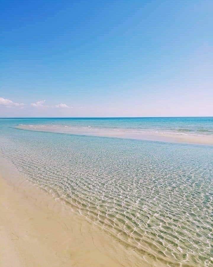 InfoGaleone's tweet photo. #Taranto #Puglia 01Marzo2021 https://t.co/aORH8oD5qK