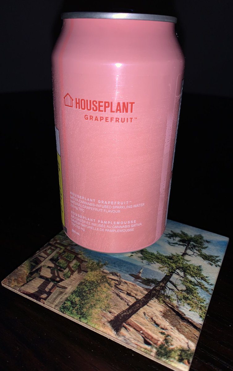 TracyAllison007's tweet photo. @Sethrogen Love houseplant 🌱 https://t.co/JhvcRV5IfG