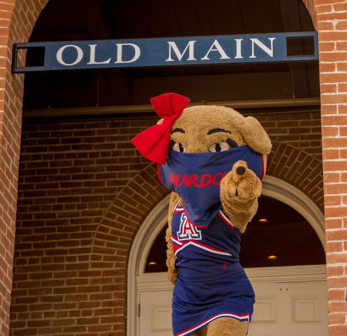 It's one special Wildcat's birthday today! Happy birthday, <a href="/AZWilmaWildcat/">Wilma T. Wildcat</a>! 🎂🎈🎁