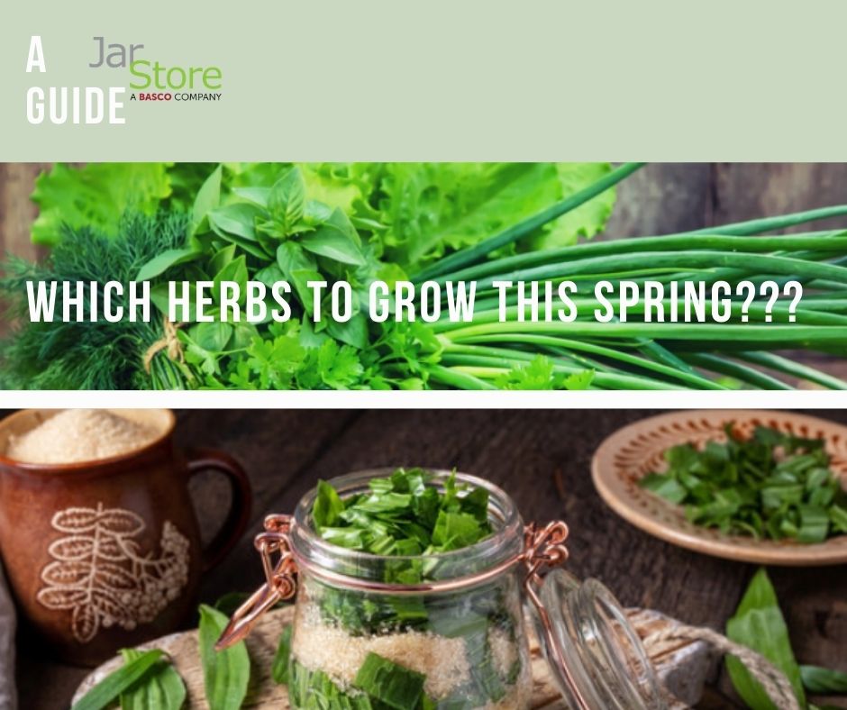 TheJarStore's tweet image. Spring is here! Bring on the herbs with various tastes &amp;amp; therapeutic traits. Find your match &amp;amp; how to harvest it: jarstore.com/spring-cleanin…

#springherbs #herbguide #springherbguide #springharvest #jarstore #herbsinjars #herbcanning