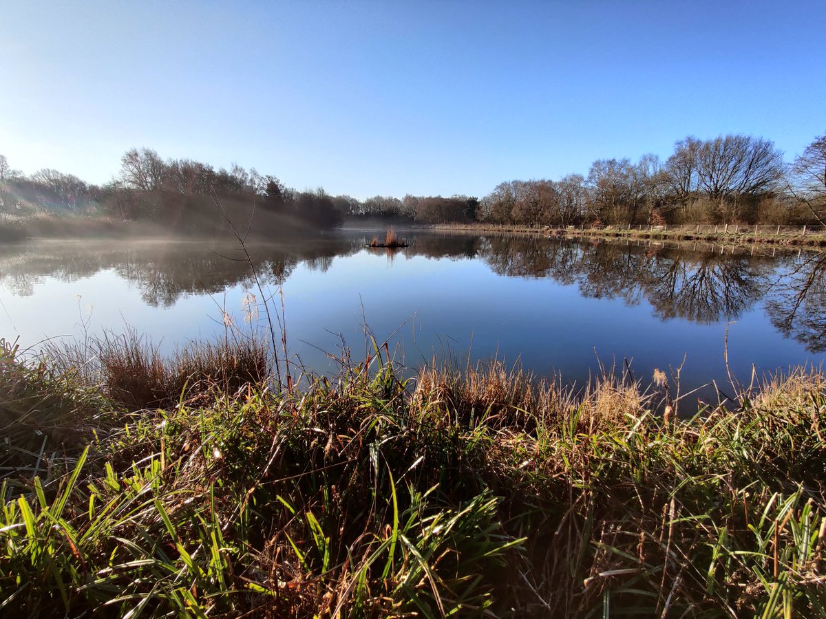 LindowCommon's tweet photo. We made it! First day of metrological Spring on #LindowCommon, #Wilmslow. A frosty start, but lots of sunshine.☀️

New growth is starting to emerge slowly around the Common, but give it another month and the place will start to look a lot greener... https://t.co/O4qPM1rE9E