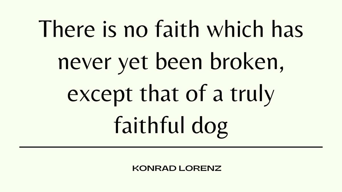 Witty_PETCARE's tweet photo. There is no faith which has never yet been broken, except that of a truly faithful dog

#dogs #dogsoftwitter #DogLover #dogsarethebest #dogsarelove #dogsarefamiliy #Puppies #puppylove #mondaythoughts #MondayMorning #MondayMotivaton https://t.co/hgU7CuUnxK