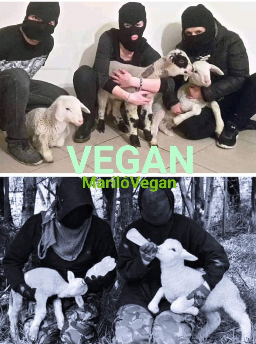 MariloVegan's tweet photo. ‼️LIBERAR a ANIMALES,                                                                    de su ESCLAVITUD, es de las mejores ACCIONES, que podemos hacer, por el BIEN, de tod@s los HABITANTES, del PLANETA 🌍.           
Es un Acto, de AMOR y JUSTICIA, hacia los demás Animales‼️. https://t.co/TuuvU7ELKk