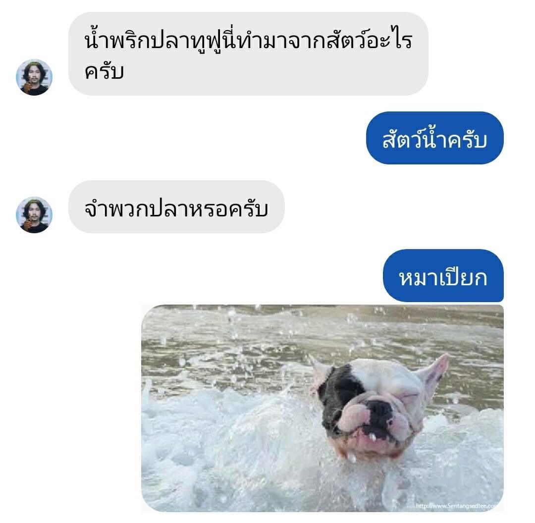 กอตอ🏕️ tweet media