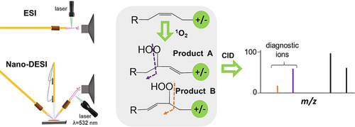 angew_chem's tweet photo. Imaging and Analysis of Isomeric Unsaturated Lipids through Online Photochemical Derivatization of C=C Bonds @lablaskin #MassSpectrometry https://t.co/CsUXo6512v https://t.co/28kW0XRhk1