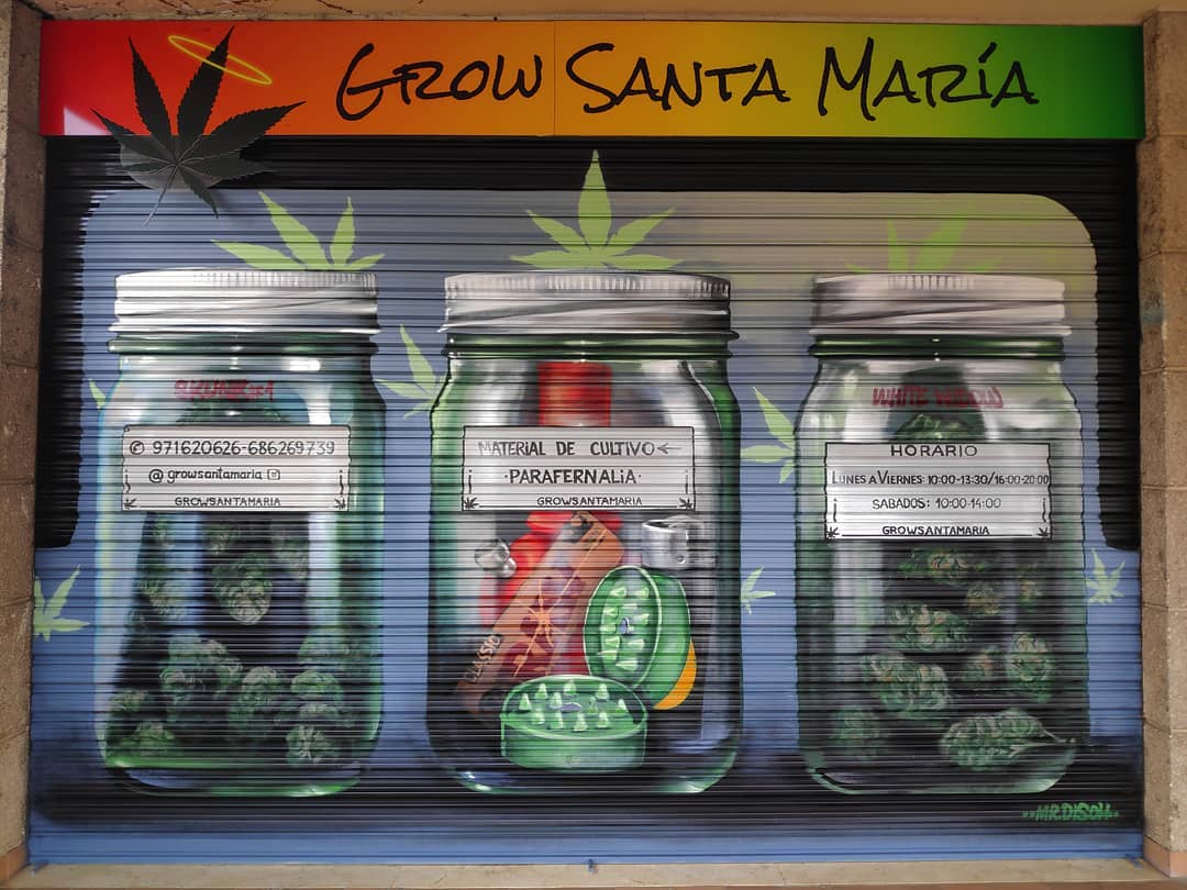 CPTN_Rastafari's tweet photo. #StreetArt #GrowSantaMaria #GreenbudFamily
@GreenbudSeeds Inside! https://t.co/YV8MGaCBgC