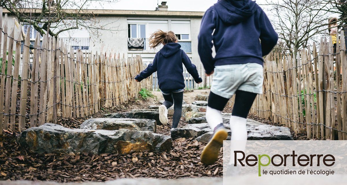 Végétalisation des cours d'école = moins de violences selon de nombreuses études #questcequonattendpourvegetaliser buff.ly/2LP6cwG