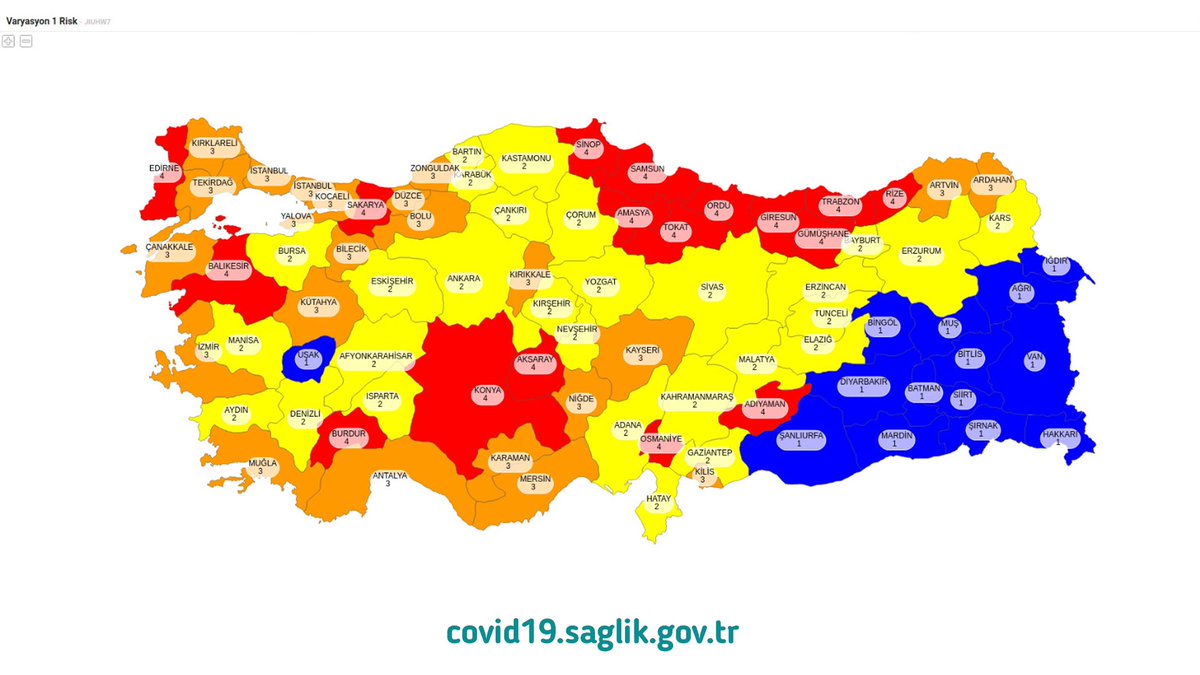 İllerimiz risk değerlendirme kriterlerine göre 4 kategoriye ayrıldı. Düşük riskli (mavi), orta riskli (sarı), yüksek riskli (turuncu) ve çok yüksek riskli (kırmızı) olarak kategoriler belirlendi. Buna göre normalleşme adımları uygulanacaktır. Tedbirli ve kademeli normalleşecegiz.