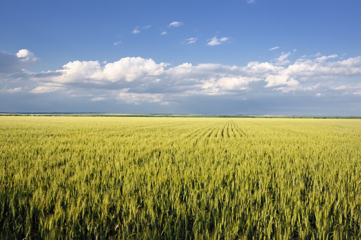 MediaMessageInc's tweet photo. Bill Gates has quietly become America’s Top Farmland Owner.  That trend started in a big way when this investment Co. purchased 100,000+ US acres from Canada Pension Plan Investment Board in 2017  https://t.co/OgzrZ52elS https://t.co/5dmJ79W0x5