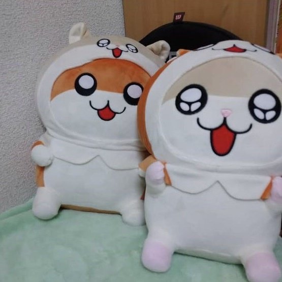 Noricopoさん がハッシュタグ ラウンドワン をつけたツイート一覧 1 Whotwi グラフィカルtwitter分析