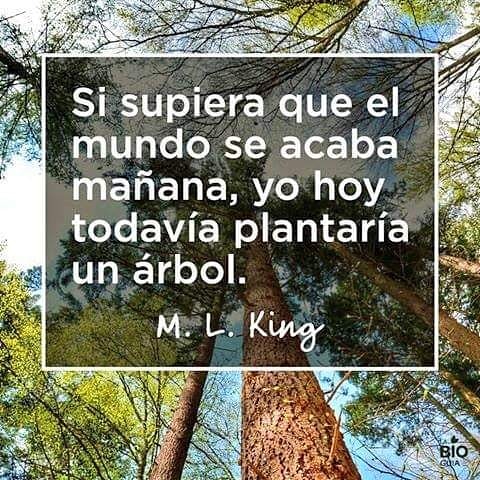 lizbero's tweet photo. Productiva semana para todos!!#BienvenidoMarzo https://t.co/VbylOTHEDI