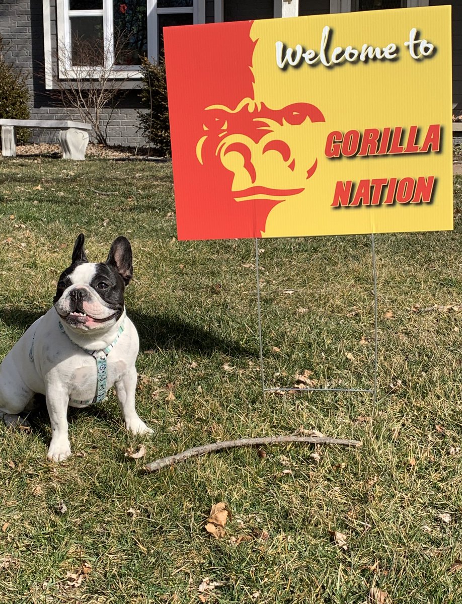 PittStateBrandi's tweet photo. 🗣Future Gorillas- Show us your excitement to #beagorilla and tweet a pic of you &amp; your welcome sign! Don’t forget to tag @PittStateBrandi &amp; @pittstate https://t.co/tu3A5EJQeh