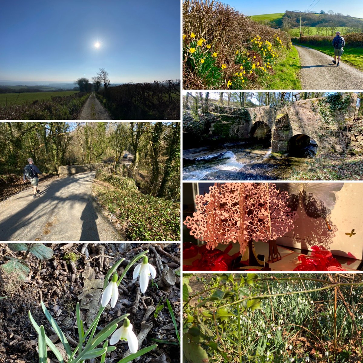 AMRWales's tweet photo. A great #TripleCrown Weekend topped off by my #CrystalAnniversary 💎 today on #StDavidsDay2021 15km walked for 15 years married! #JoysOfLife #Daffodils 🌼 #Snowdrops #RaspberryRuffles 🍬 🙏 Thanks for all the lovely wishes 😊 https://t.co/1Bl7WOPH43
