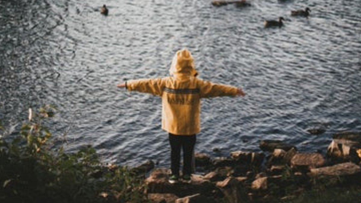 early play tweet media