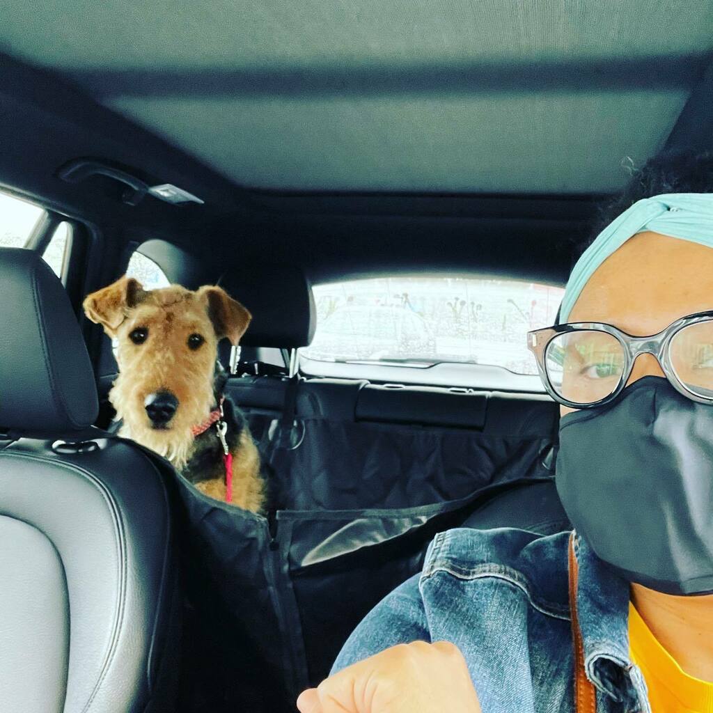 connie_dot's tweet photo. Monday morning USPS run with our employee of the month 🤩😊 🐶 Come on March, let’s get it!!! #usps #fulfillment #businessowner #dogmom #airedaleterrier #airedalesofinstagram #resellerlife #dotandconnie https://t.co/oh1hguH14k https://t.co/ck8Ipce8xI