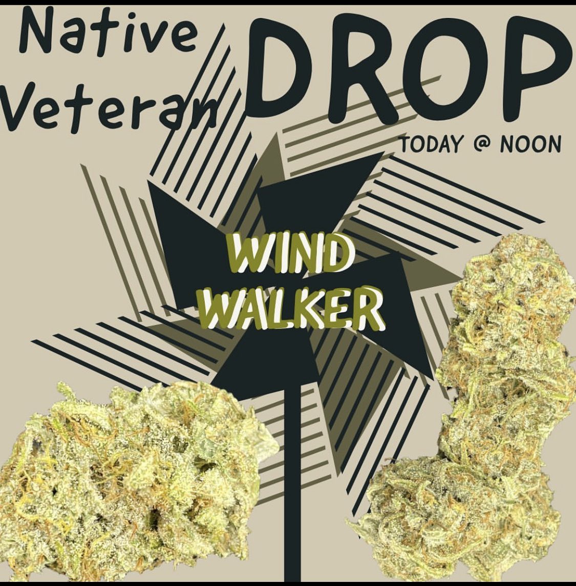 HigherHealthOK's tweet image. #nativeveteran #windwalker #cannabis