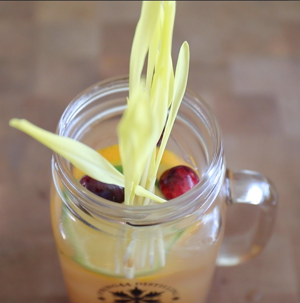 Infinite Harvest tweet media