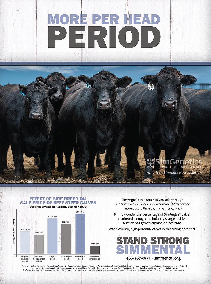 ASASimmental's tweet photo. Want low-risk, high-potential calves with earning protentional? https://t.co/NRXIb1elg8