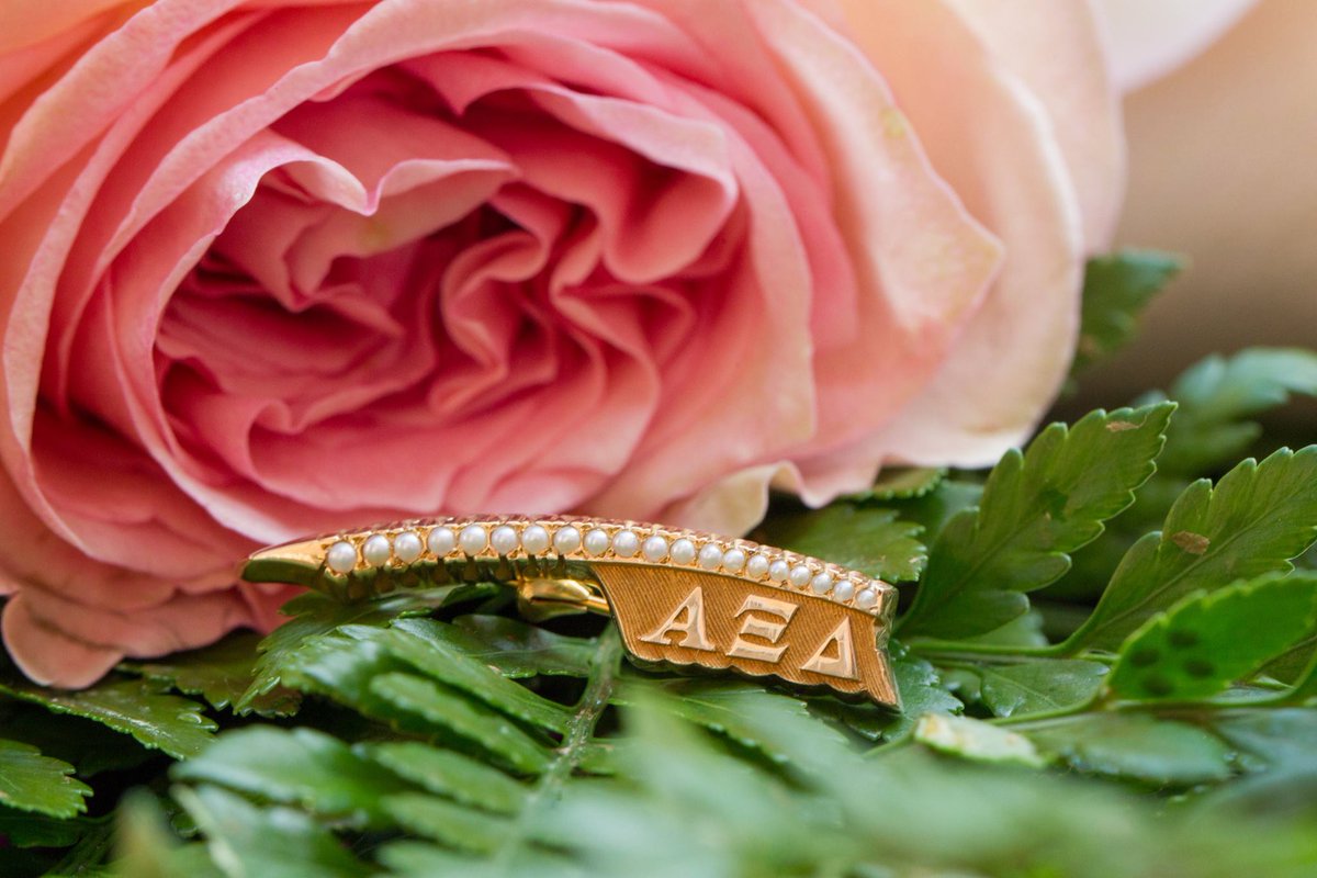 alphaxidelta's tweet photo. Today is International Badge Day! The celebration sponsored by the National Panhellenic Conference salutes sisterhood and a lifelong commitment to service and community. Use the hashtags #BadgeDay21 and #IWearABadge to share your Quill pride on social media! https://t.co/t81nclcjDK