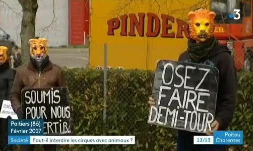assola86's tweet photo. Retour sur le vœu d'interdiction des cirques avec animaux sauvages à #Poitiers ! JT du 1er mars le 12/13 Poitou Charentes @F3PoitouChtes https://t.co/vmebDlWz78 https://t.co/GOyUlEykXk