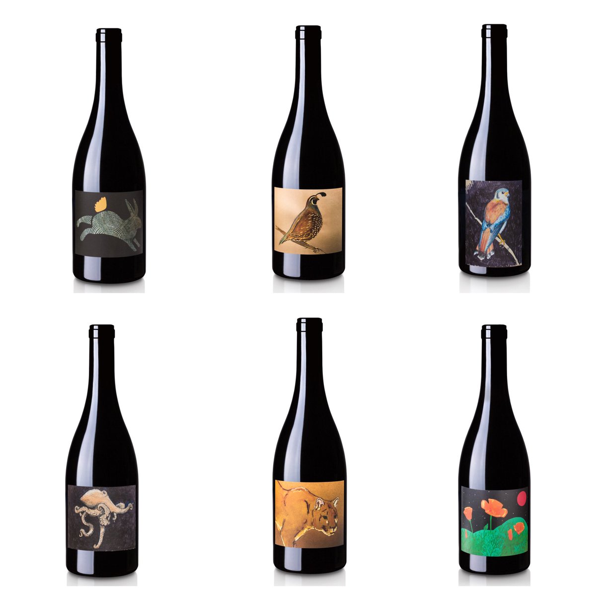 Last chance to get these wines from <a href="/bolttowines/">Bolt To Wines</a>