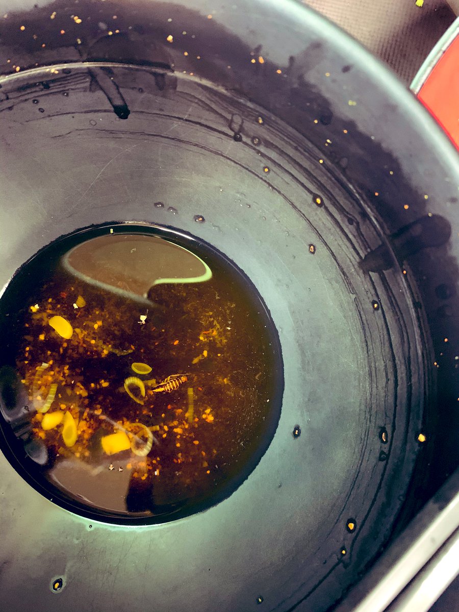 jillo_bd's tweet photo. 昨日新宿であるよく人気な富士そば食べに行ったんだけど、食べた瞬間にそばのスープにゴキブリ🪳が入っててすごく気持ち悪かった。お店のスタッフが普通見たいな話ししてたんですけど。もし日本人だったらスタッフがちゃんと謝ると思うけどでもぼくは外国人だからすごくいやな感じしてた。 https://t.co/cR3D4rZR3g