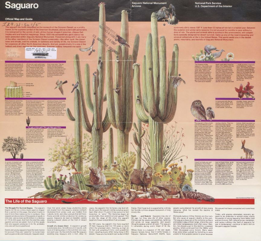 StateLibAZ's tweet photo. On March 1, 1933, President Herbert Hoover signed a proclamation establishing Saguaro National Monument in Tucson, AZ. Congress later elevated the status to @SaguaroNPS in 1994.
Enjoy these vintage tourist guides: https://t.co/tj24Rmhl7y
#ArizonaFederalDocuments https://t.co/Qg3SbmcFg5