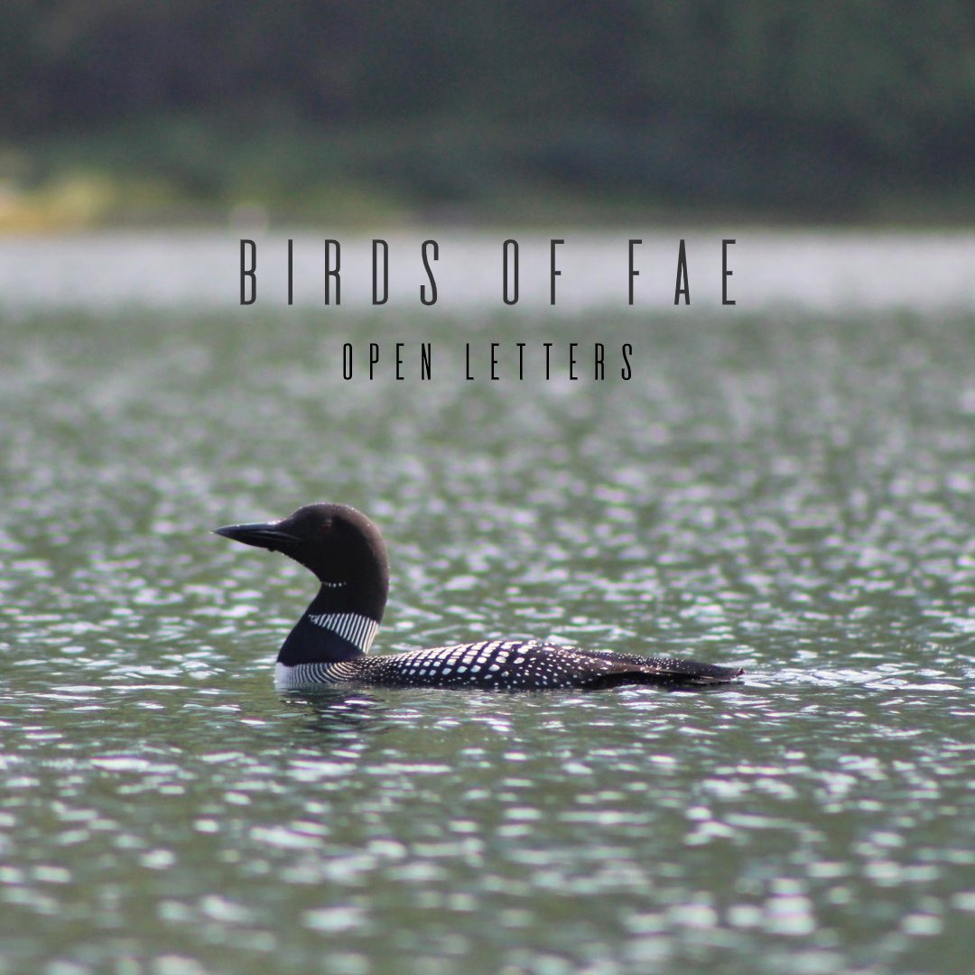 It’s OFFICIAL-official. We are releasing our 5 song EP on March 13th! We had planned this to be a full album but covid made recording impossible. We will get you next time with a full album- but for now we hope you enjoy these songs ❤️🥳