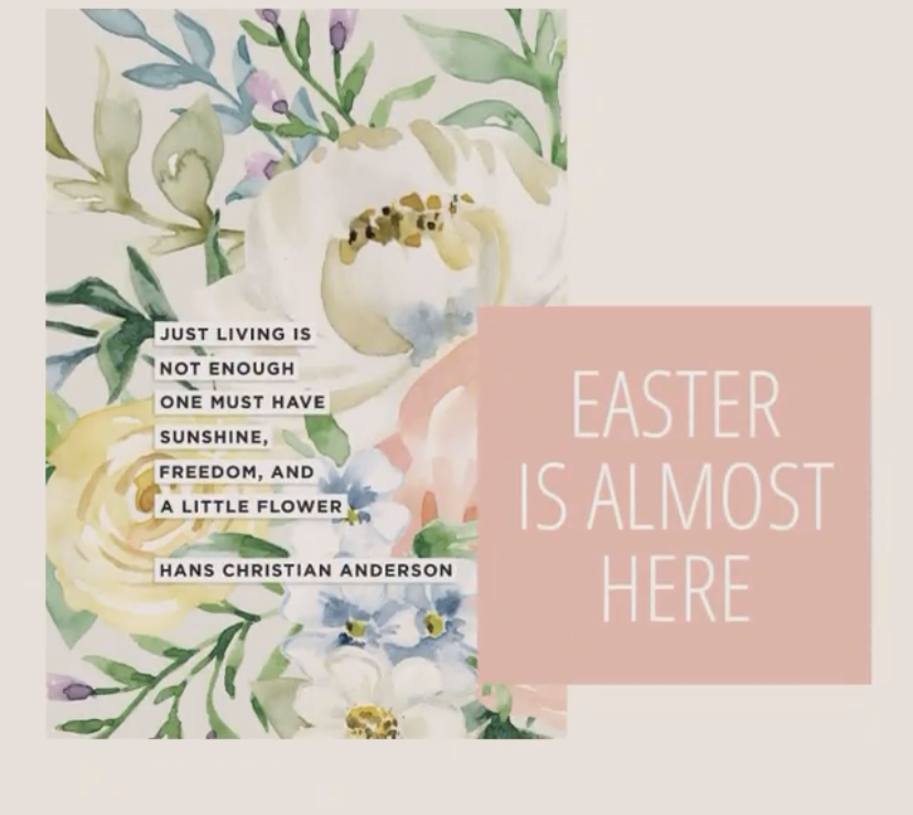 RalphHaroldMD's tweet photo. Easter is only four weeks away! We know, it came as a surprise to us when we looked at the calendar, too. We got so excited, we got our Easter cards ready for sending! Head over to the Card Catalog and plan your Easter send. #sendoutcards https://t.co/qXVtFSM8Mn