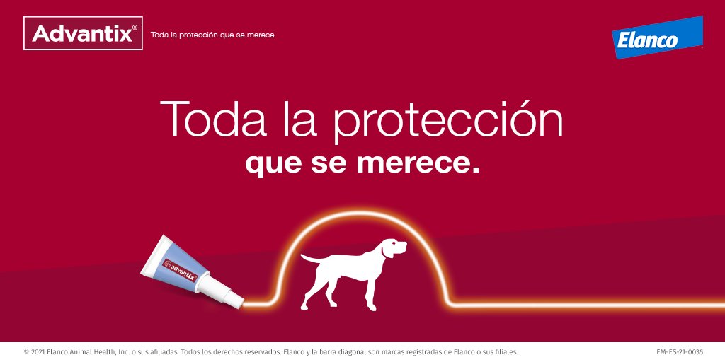 Advantix_Espana's tweet photo. Sabemos que tu perro es lo más importante para ti, por eso las pipetas #Advantix son vuestras mejores aliadas: máxima cobertura frente a pulgas y garrapatas. Dale toda la protección que se merece.
➡ https://t.co/jjPuF7EKWi https://t.co/vUTSI2Pbpk