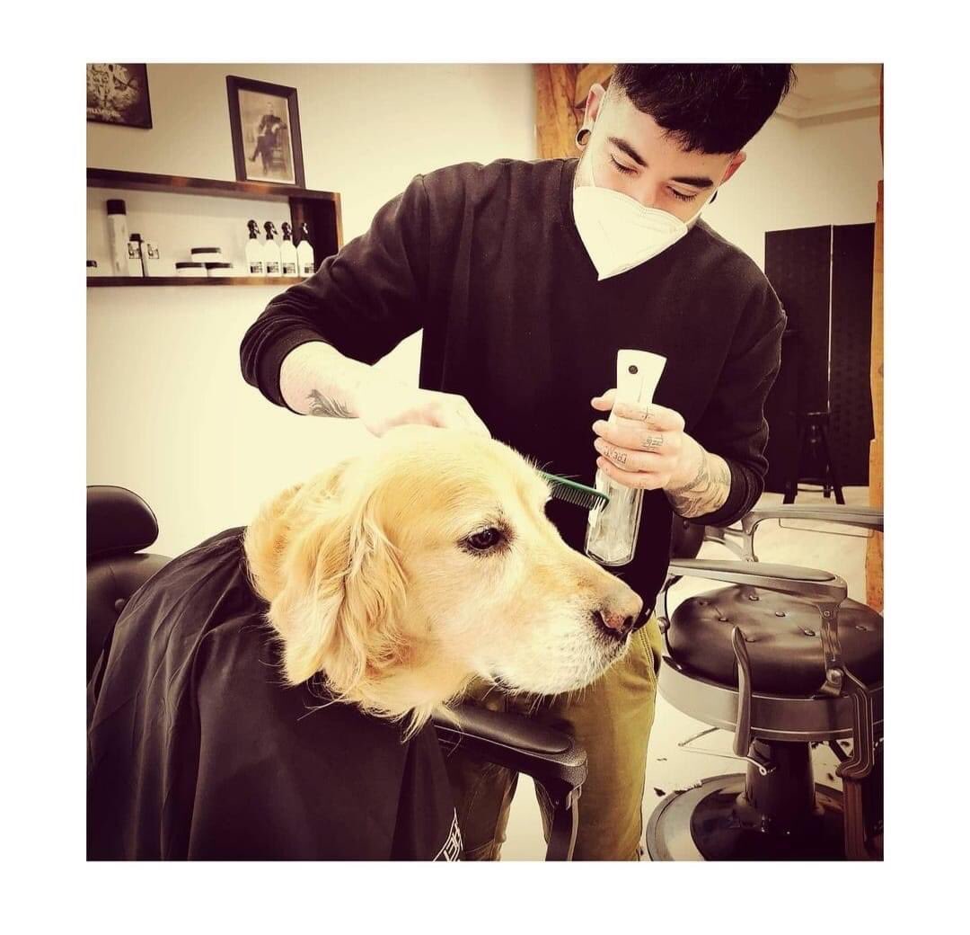 industriasbala's tweet photo. Maison se está poniendo guapo para las #meisonsessions, que empiezan este mes de marzo. ¿Las seguís ya? Estad atentos.
@Tuchomusica @entre_botones @Janetheplanett @industriasbala
#maisonsessions
#meison #perros #dog #dogs #dogsofinstagram #mascotas #perrosdeinstagram #instadog https://t.co/JgcnxlpuCW