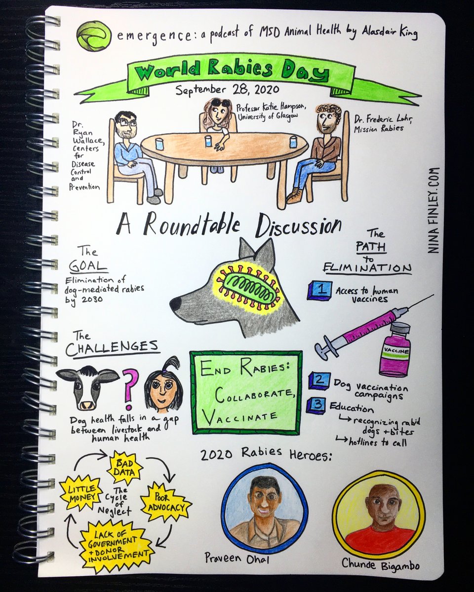NinaFinley's tweet photo. @KaraFikrig @AcademicChatter 👋 Hi! I do sketch-note style science illustration by hand with ink and watercolor or colored pencil. Examples below (including an illustration for a paper published in PLOS Medicine). Open for commissions.

Thanks @AshleyEStumvoll for the mention 😊 https://t.co/afQtGCrw4S