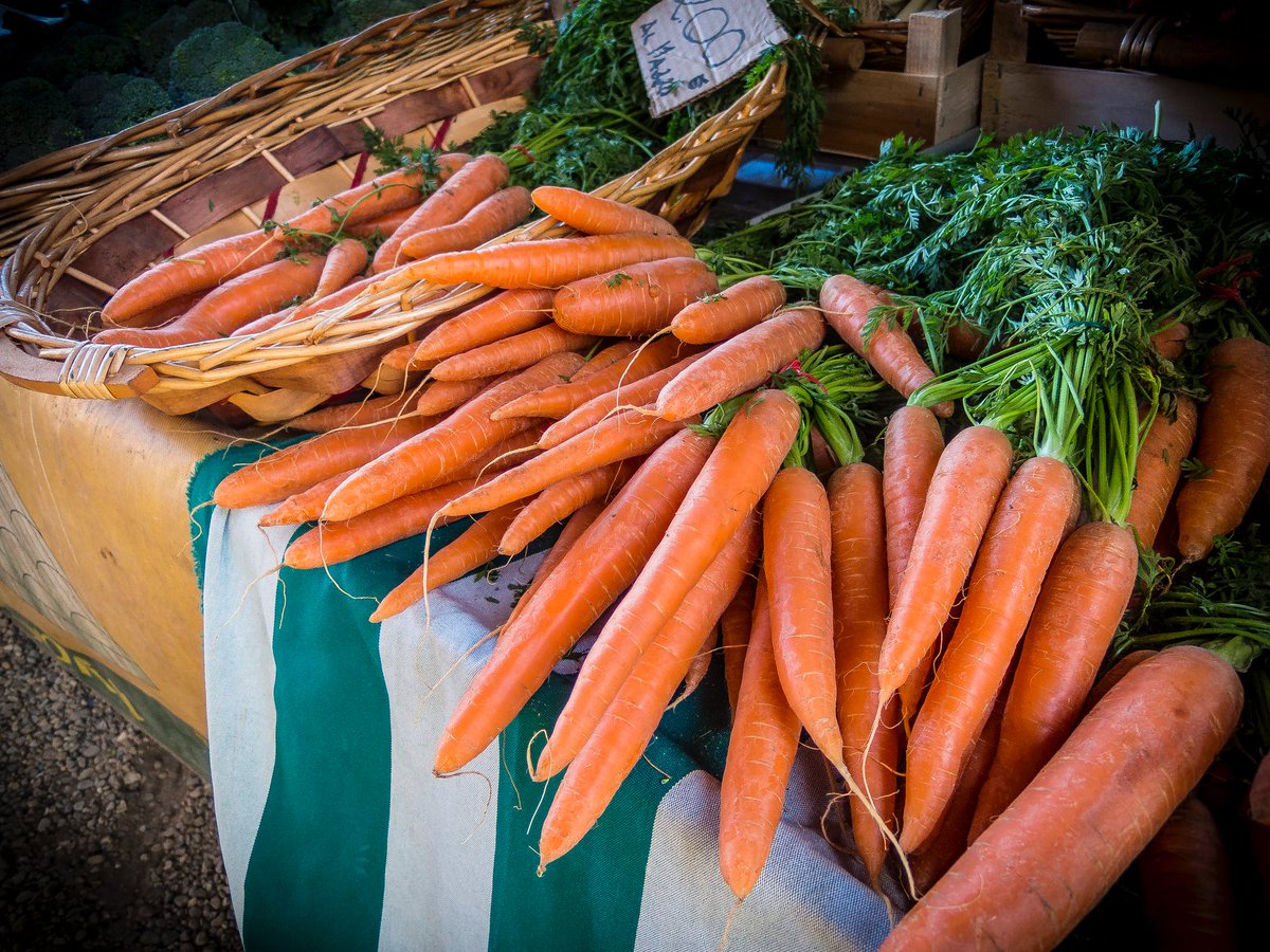 FamilyBizPaul's tweet photo. Celebrating with #familybusiness carrot producers around the world today on #InternationalCarrotDay @GwillimdaleFarm @MHPoskitt @bartlettandsons @ProduceWorld @CarrotGrowers @BritishOrganic @GrimmwayFarms @SuffolkProduce https://t.co/dLFYYqwx47