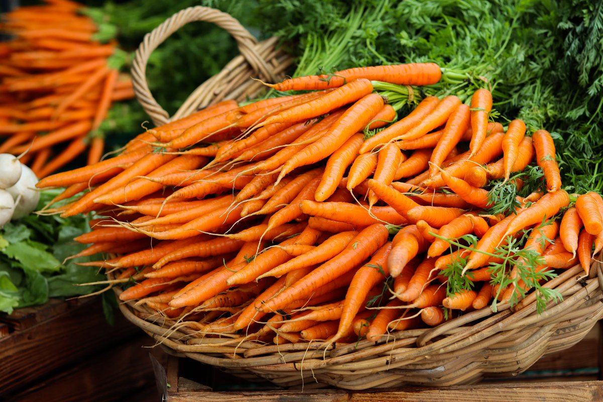 Celebrating with #familybusiness carrot producers around the world today on #InternationalCarrotDay <a href="/GwillimdaleFarm/">Gwillimdale Farms</a> <a href="/MHPoskitt/">MH Poskitt Ltd</a> <a href="/bartlettandsons/">Alan Bartlett & Sons</a> @ProduceWorld <a href="/CarrotGrowers/">British Carrot Growers Association</a> <a href="/BritishOrganic/">British Organic Carrots</a> <a href="/GrimmwayFarms/">Grimmway Farms</a> <a href="/SuffolkProduce/">Suffolk Produce</a>