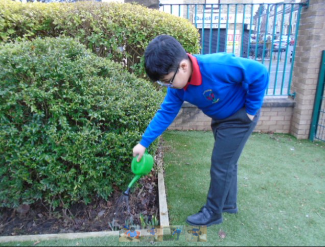 CopthorneSch's tweet photo. Planting poppy seeds for the wildlife and broad beans for us #TheWeatherIsChanging https://t.co/0oofCbxCO8