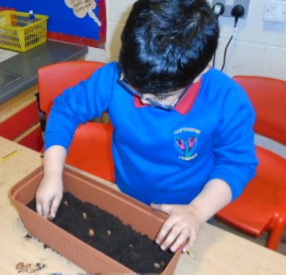 CopthorneSch's tweet photo. Planting poppy seeds for the wildlife and broad beans for us #TheWeatherIsChanging https://t.co/0oofCbxCO8