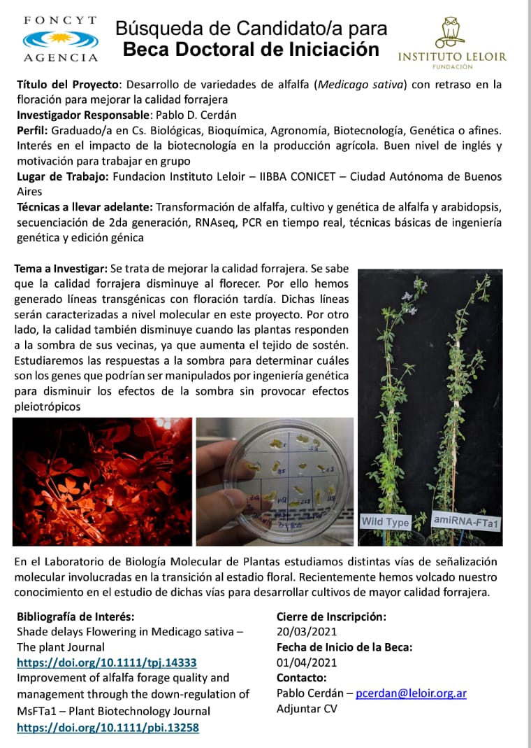 ⭐️Concurso para una Beca Doctoral en Biotecnología Vegetal, en el Laboratorio de Biologia Molecular de plantas de la Fundación Instituto Leloir
👨‍🔬Interesados contactarse con Pablo Cerdan (pcerdan@leloir.org.ar)
📢Se agradece su difusión!