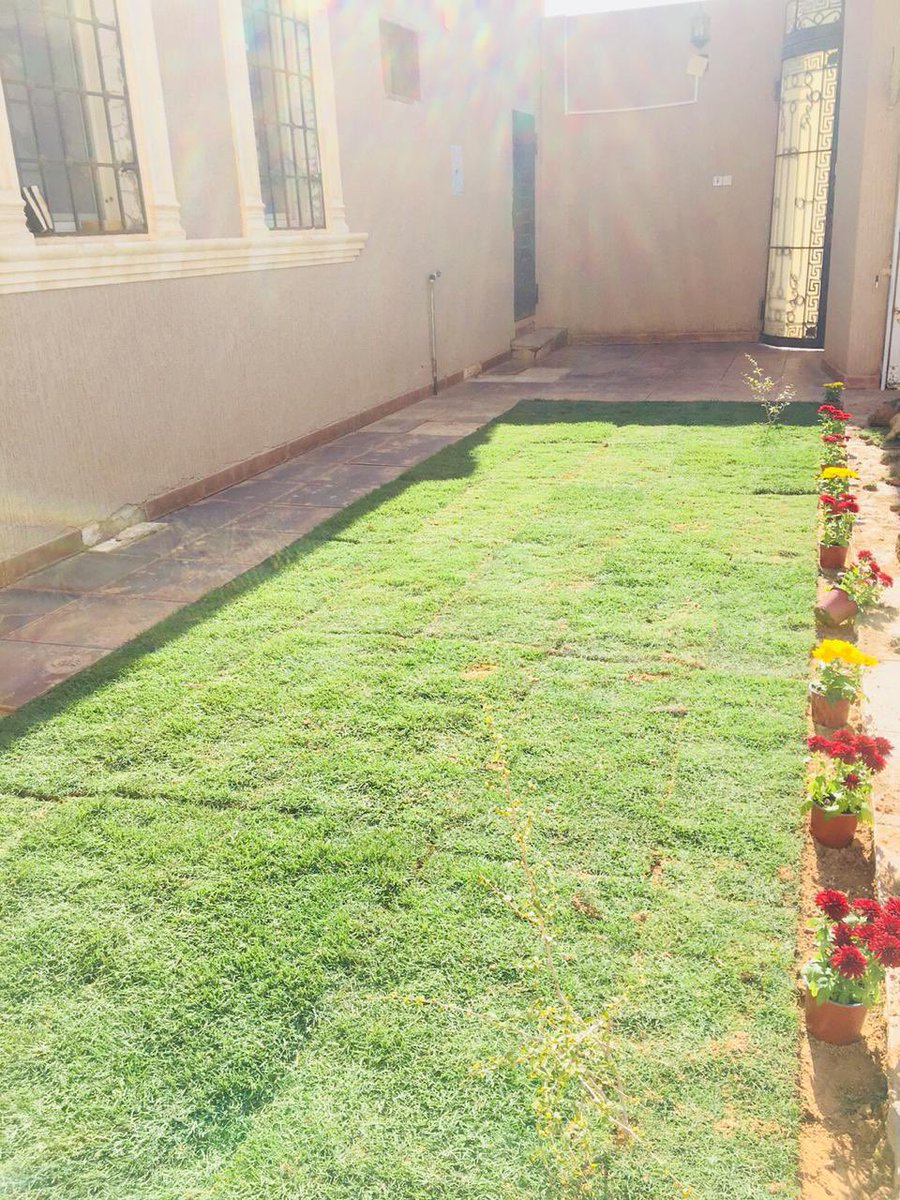 kananfarm's tweet photo. من اعمالنا #مشتل #مشاتل #زراعه #زراعة_منزلية #تنسيق_حدائق #زهور #مشتل_بريده https://t.co/bU4iRFXqPs