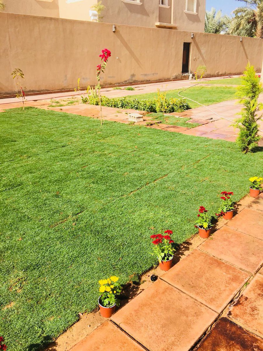 kananfarm's tweet photo. من اعمالنا #مشتل #مشاتل #زراعه #زراعة_منزلية #تنسيق_حدائق #زهور #مشتل_بريده https://t.co/bU4iRFXqPs