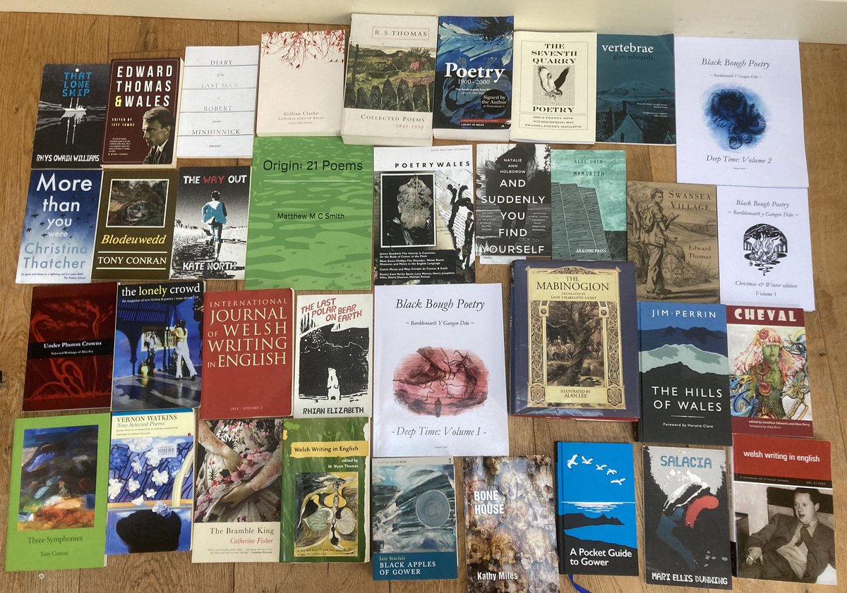 MatthewMCSmith's tweet photo. Dydd Gŵyl Dewi Hapus 🐉 🌼 🏴 Happy St. David’s Day. Just a sample of Welsh writing on my shelves. More posted in future
@Rhys_Owain @Dylanthomasguy #GillianClark #RSThomas @SeventhQuarry @glynfedwards @blackboughpoems @writetoempower #TonyConran @poetrywales @missholborow https://t.co/GxwcT6OZqb