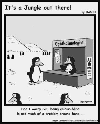 eyecenters's tweet photo. You know, the penguin ophthalmologist actually has a good point... https://t.co/hZYFUdnBoR