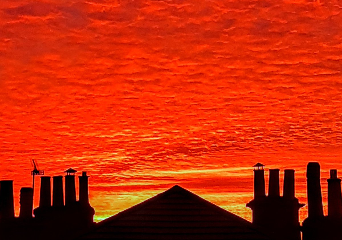 daylight disappears
cold night sky slowly descends
the embers burn out