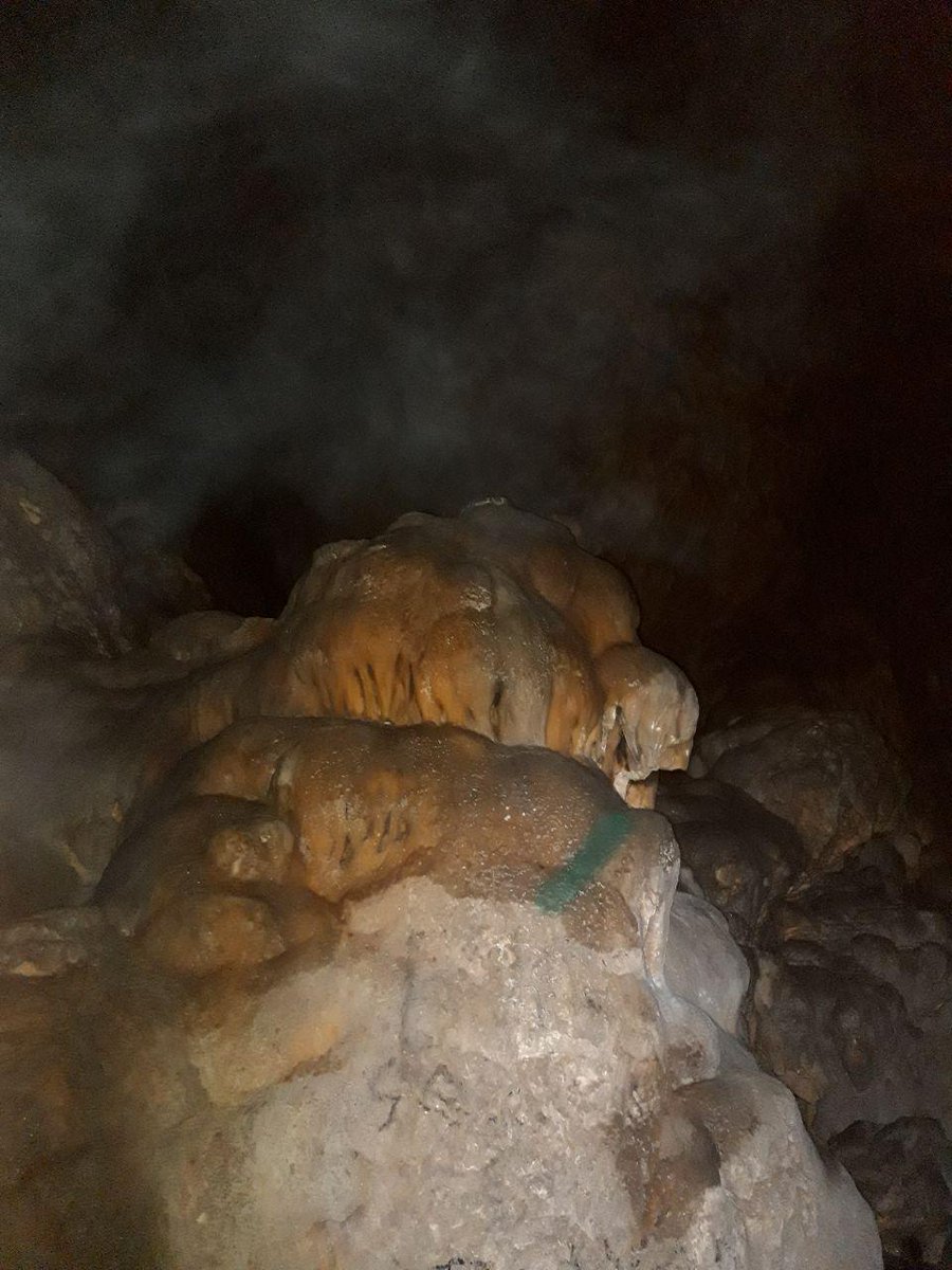 IEE_ONG's tweet photo. Nous avons aperçu quelques chauve-souris rhinolophe en repos le long des parois jusqu'au fond des galeries. https://t.co/1HnVAyy0v7