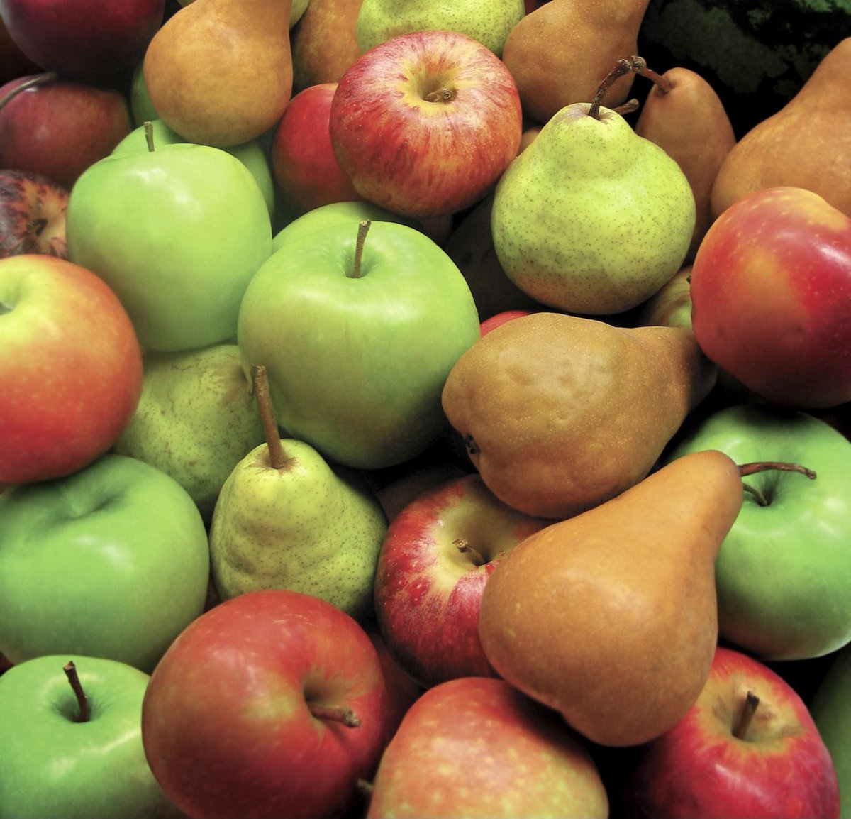 United Fresh NZ Inc. tweet media