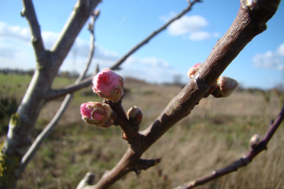 De Parkse Gaard (@deparksegaard) on Twitter photo 